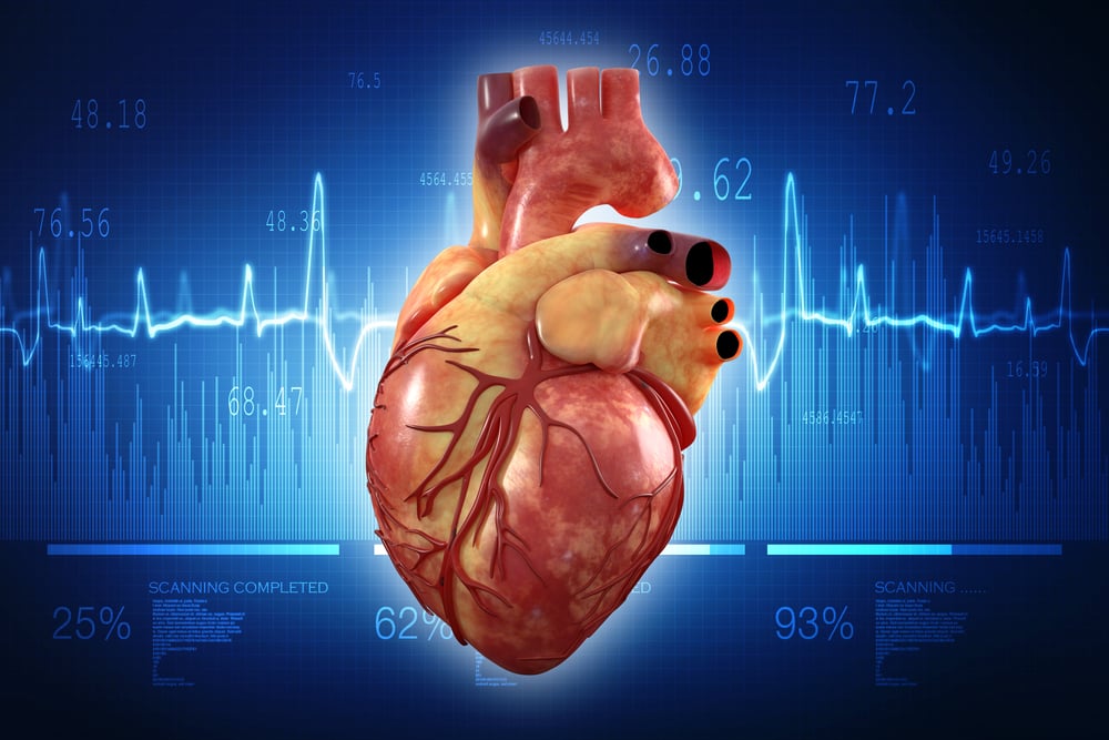 Anatomi Jantung: Bagian, Fungsi, dan Penyakitnya • Hello Sehat