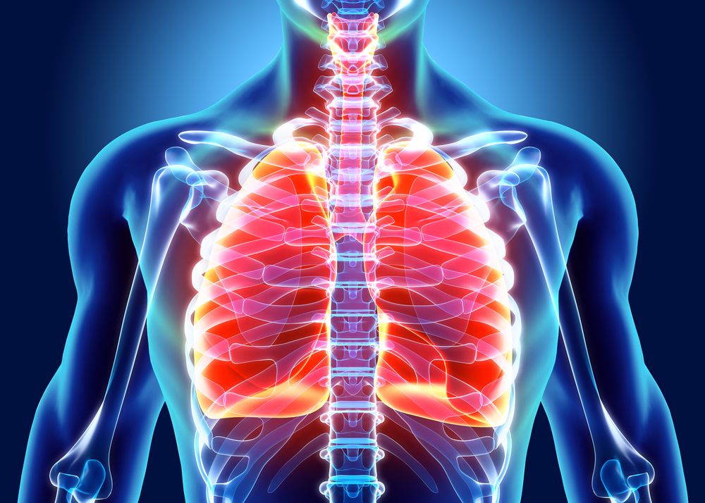 Mengenal Lebih Dalam Anatomi Paru Manusia dan Fungsinya