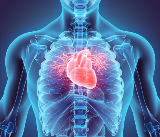 Gejala Penyakit Jantung Dan Berbagai Penyebabnya