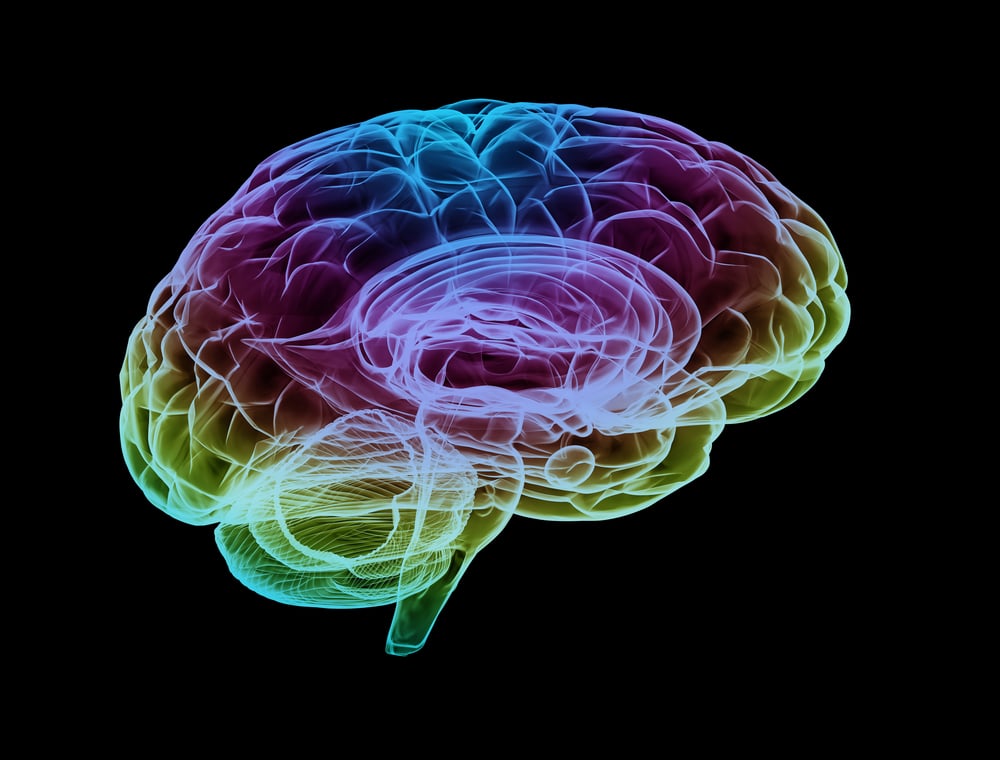 5 Fakta Menakjubkan tentang Otak Manusia yang Harus Anda Tahu