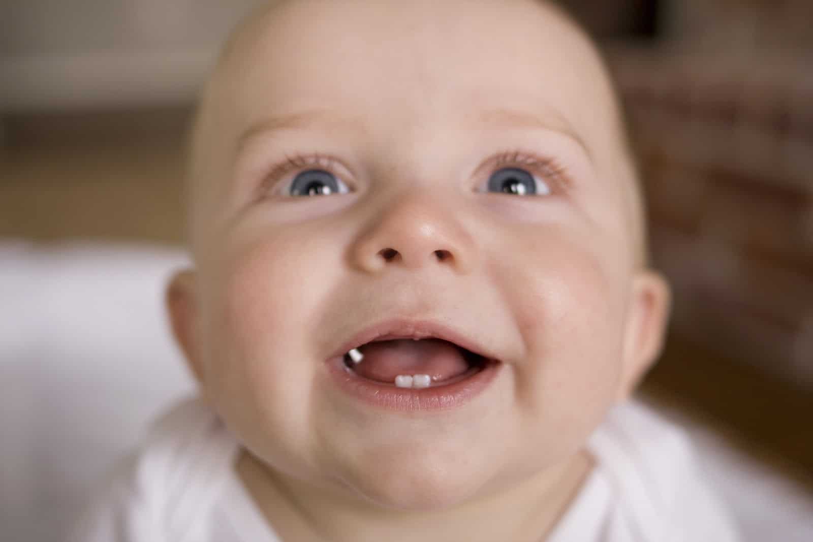gigi bayi