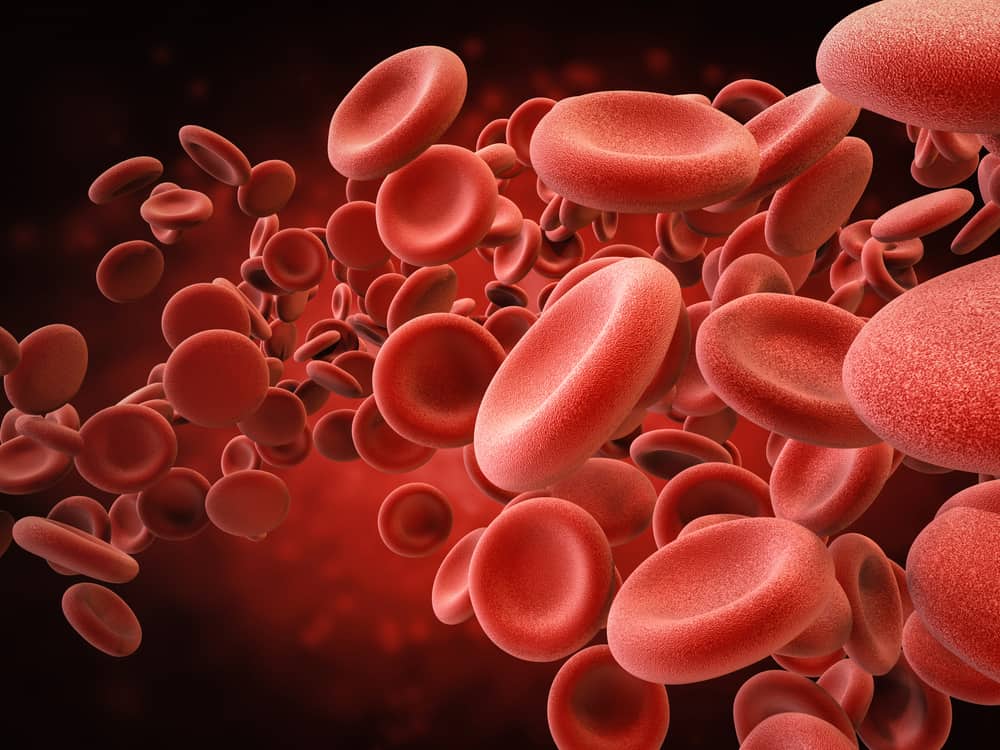 Berbagai Jenis Obat Penambah Darah yang Umum Diresepkan Dokter