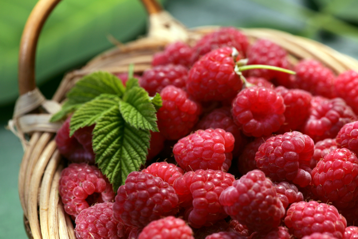 raspberry