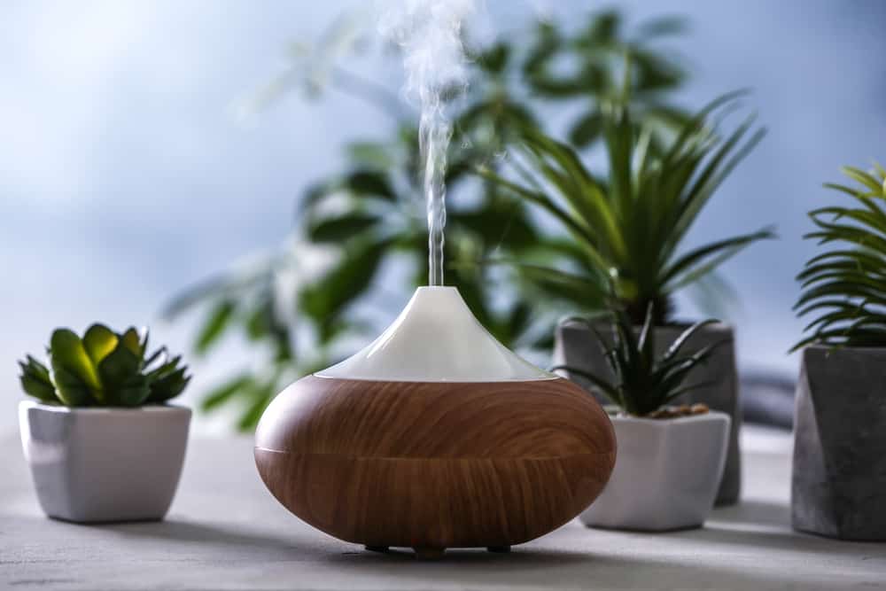 5 Langkah Mudah Membersihkan Humidifier di Rumah