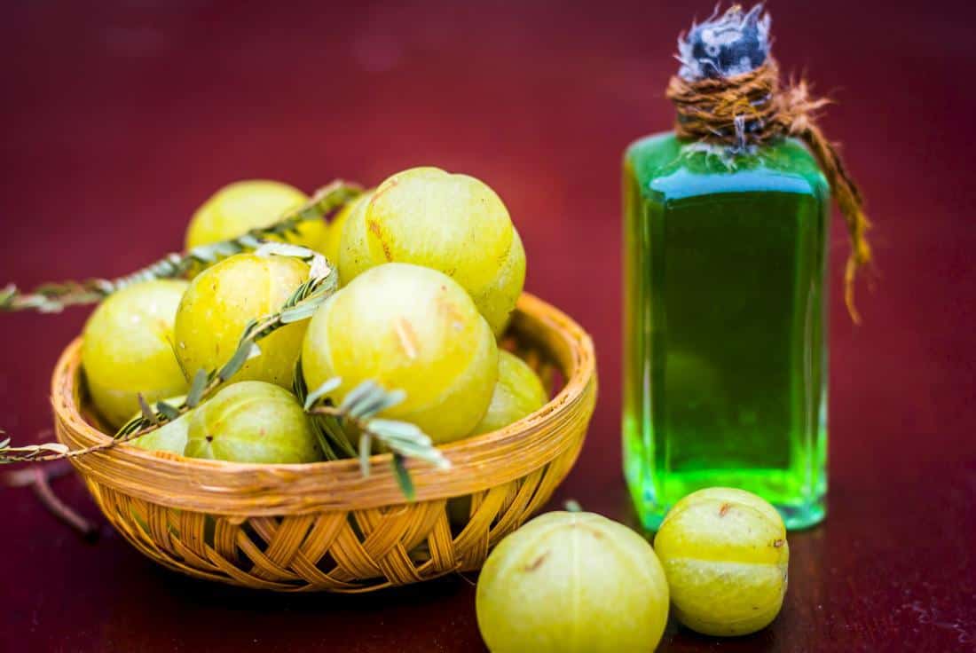 Segudang Khasiat Minyak Amla dari Menguatkan Akar Rambut Hingga Meredakan Sembelit