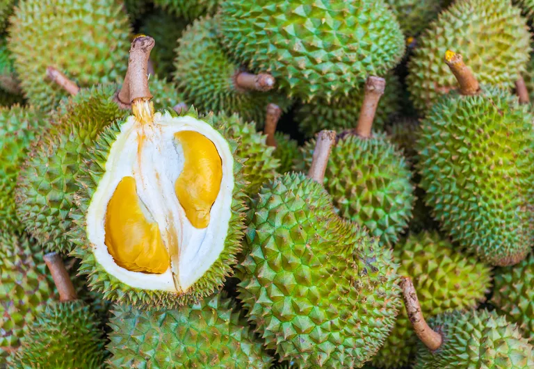 Benarkah Durian Bisa Menyebabkan Kolesterol Tinggi?