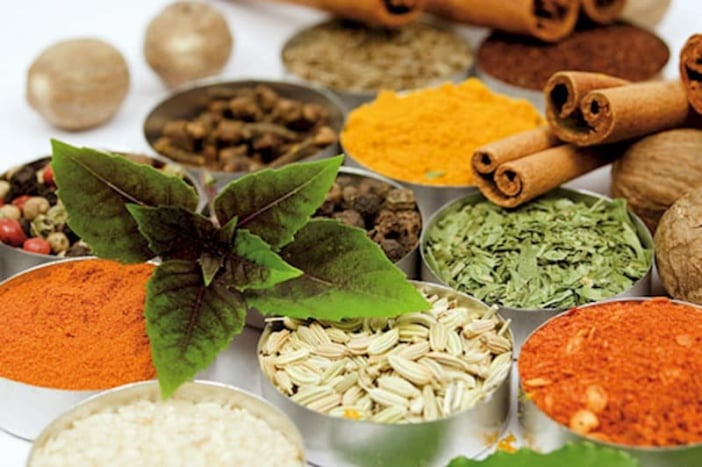 bahan tradisional dari tanaman obat herbal diabetes alami