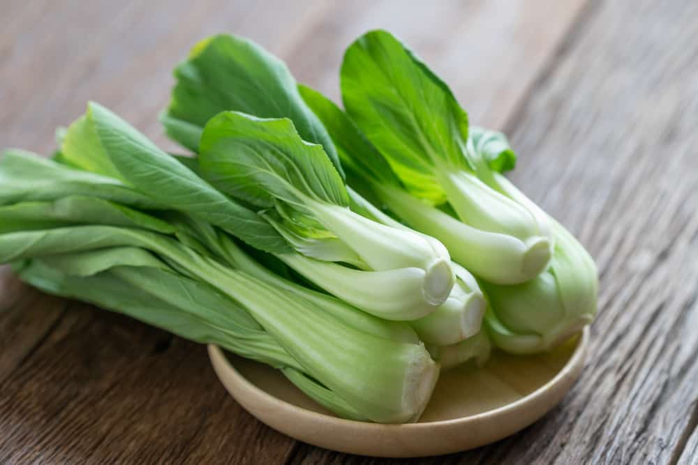 Yuk Intip Khasiat Sayur Pakcoy, Si Sawi Berbentuk Sendok yang Kaya Nutrisi