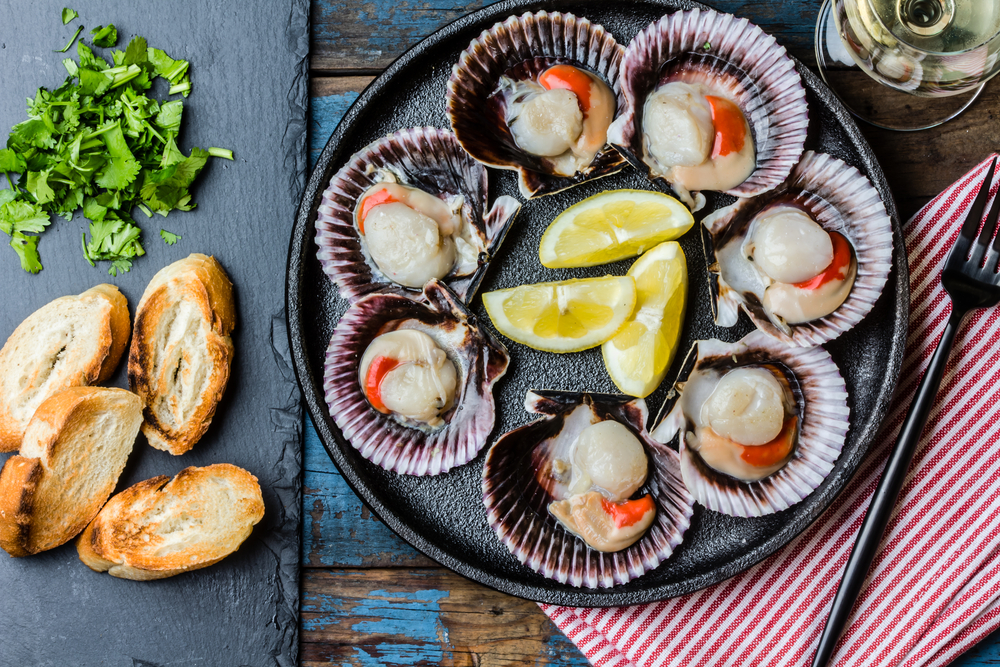 9 Manfaat Scallop, Kerang Laut Mahal yang Kaya Gizi