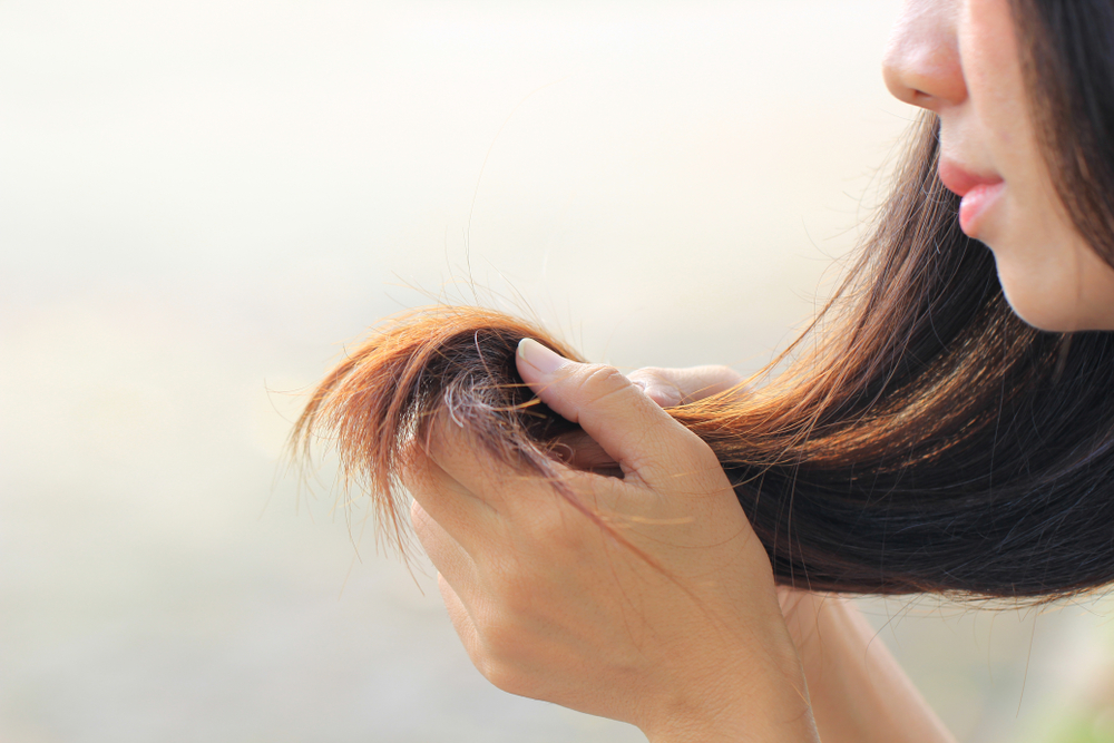 kegiatan-harian-penyebab-rambut-bercabang