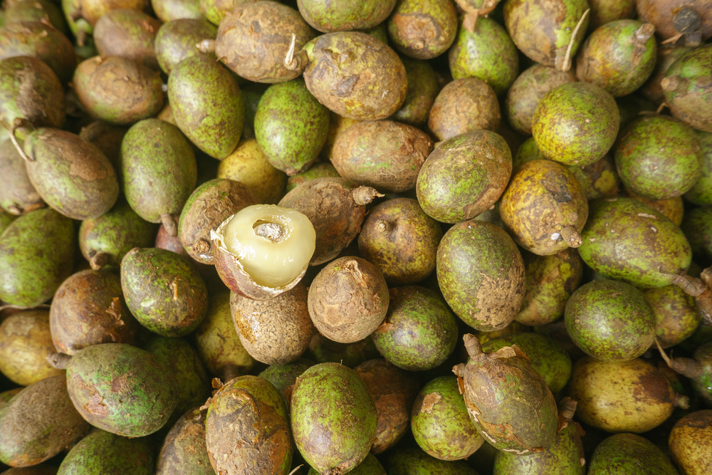 Buah Matoa, Si Manis dengan Segudang Manfaat