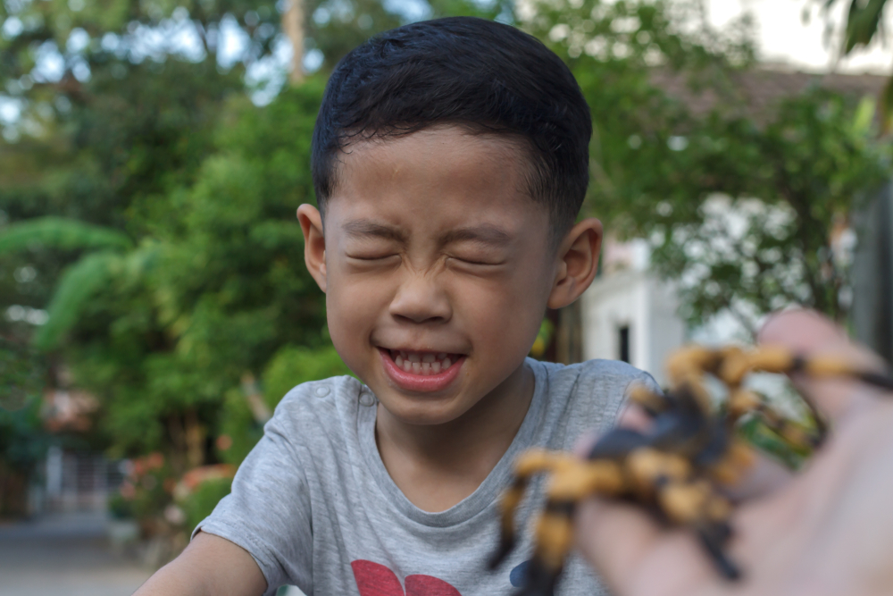 Arachnophobia (Fobia Laba-Laba)