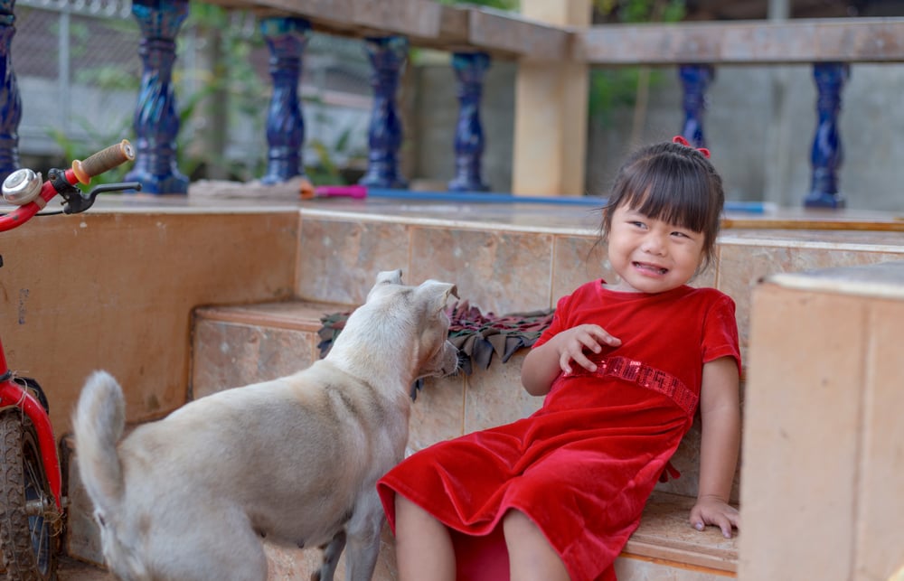 Psst, Takut Berlebihan Terhadap Anjing Tanda Gangguan Cynophobia