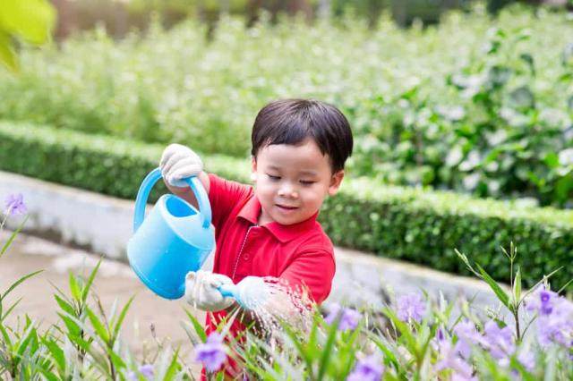 manfaat-berkebun-untuk-anak-usia-dini