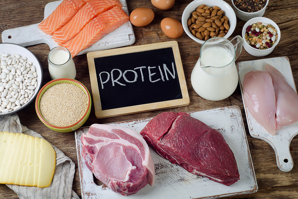fungsi protein dan makanan berprotein