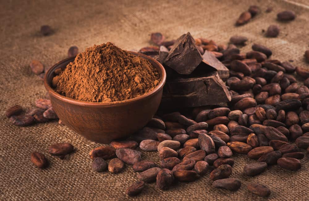 10 Khasiat Menakjubkan Kakao Bagi Kesehatan Tubuh