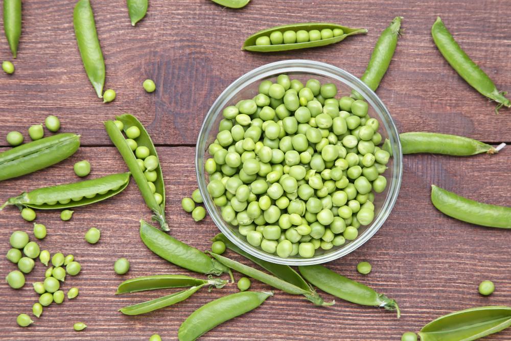 Mencicip Susu Kacang Polong, Alternatif Susu yang Tak Kalah Sehat dari Susu Sapi
