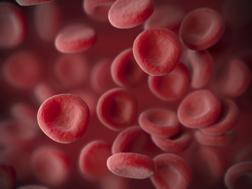 Mengetahui Jumlah Normal Eritrosit (Sel Darah Merah) dan Fungsinya bagi Tubuh
