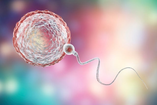 Mengenal PLI, Terapi Suntik Leukosit untuk Tubuh Ibu yang "Menolak" Sperma