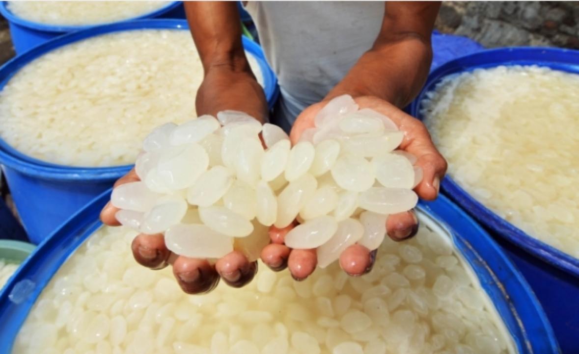 8 Manfaat Kolang-kaling, Cegah Penuaan hingga Pengeroposan Tulang