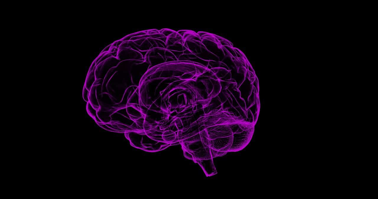 Encephalomalacia