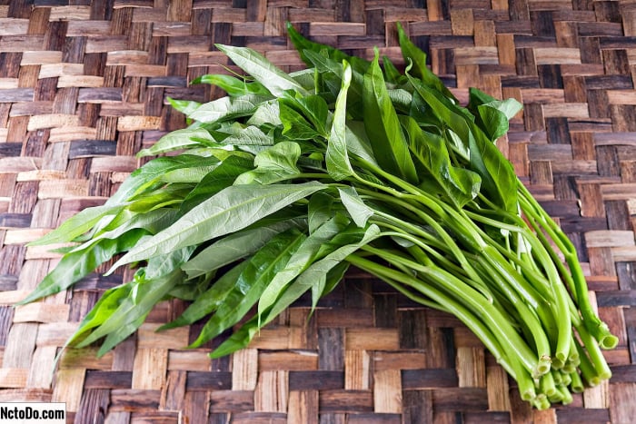 kangkung