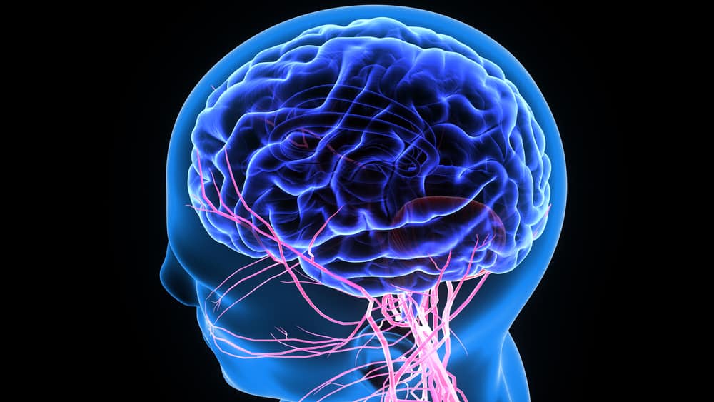 gangguan otak dan sistem saraf