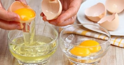 kandungan putih telur dan kuning telur