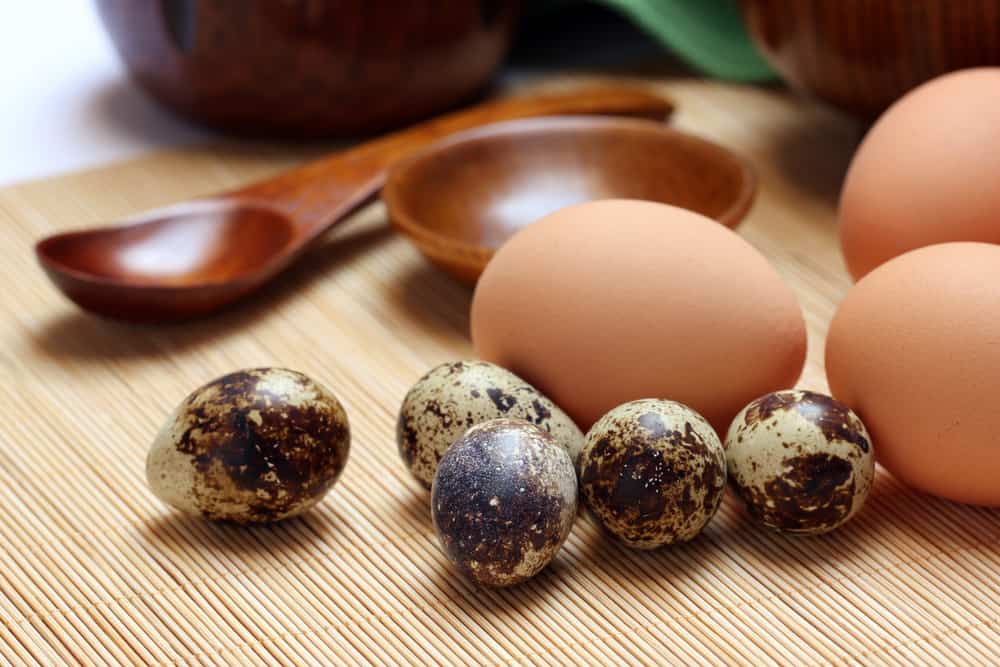 Telur Ayam atau Telur Puyuh: Mana yang Lebih Bergizi?