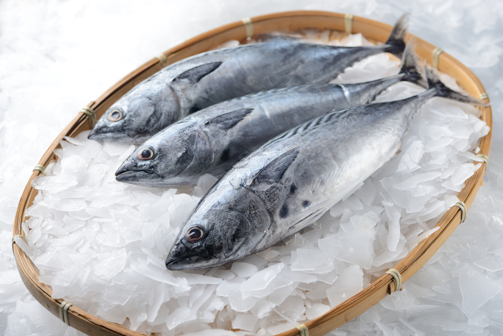 10 Manfaat Ikan Tongkol, Plus Tips Aman Konsumsinya
