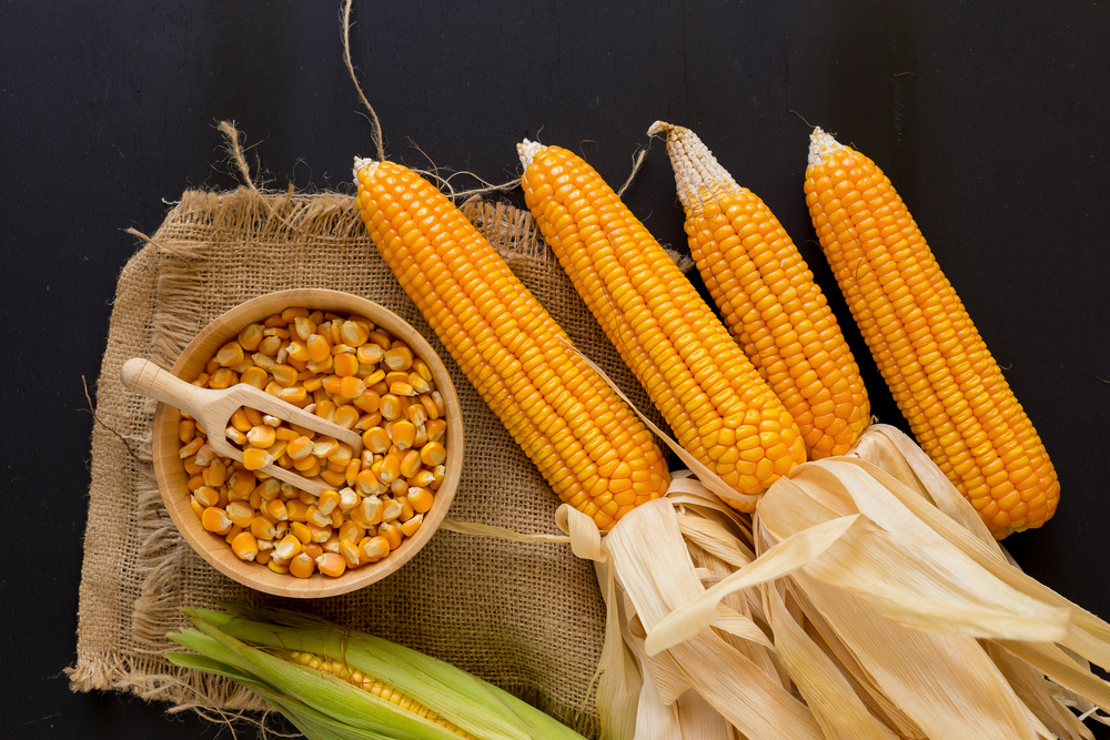 Jagung Terasa Enak Jika Sudah Diolah, Tapi Boleh Tidak, Ya, Dimakan Mentah?