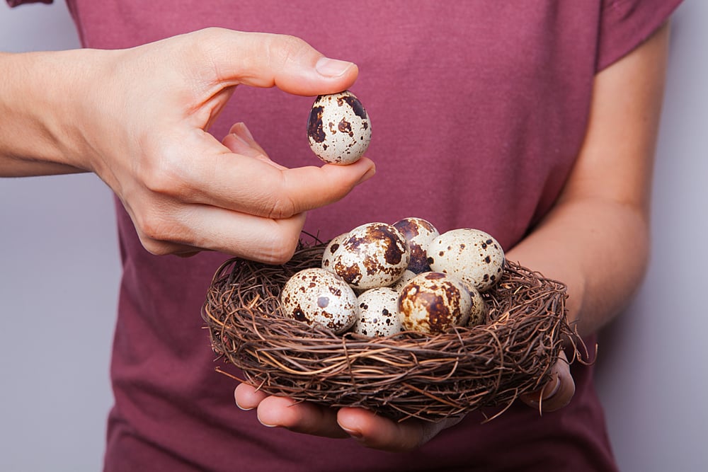 Dianggap Berkolesterol Tinggi, Baiknya Makan Berapa Telur Puyuh Dalam Sehari?