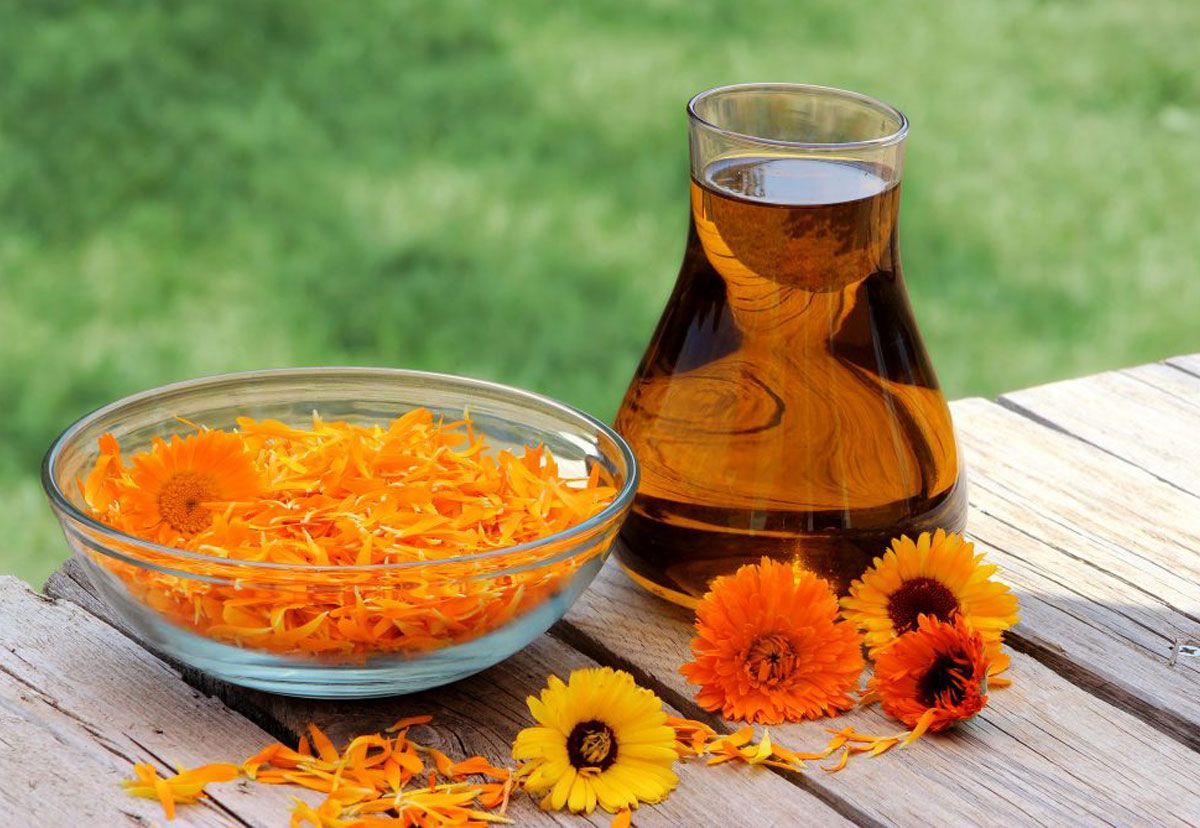 Manfaat Minyak Calendula untuk Kulit yang Belum Banyak Diketahui