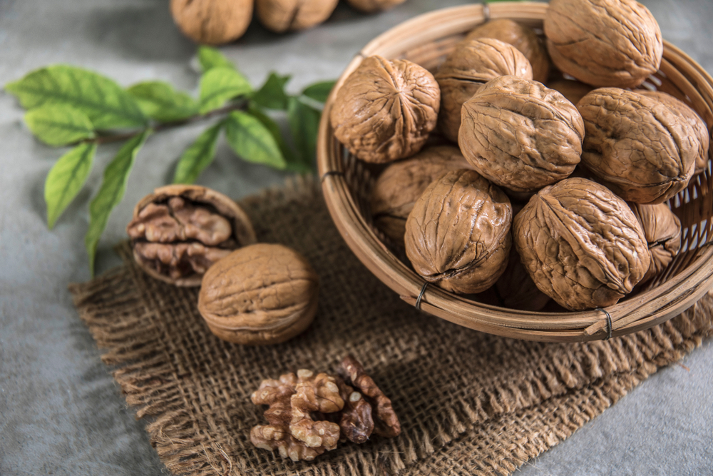 Kacang Kenari, Si Kecil Imut yang Punya Banyak Manfaat Kesehatan