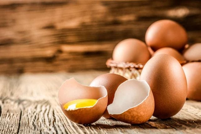 manfaat telur omega 3