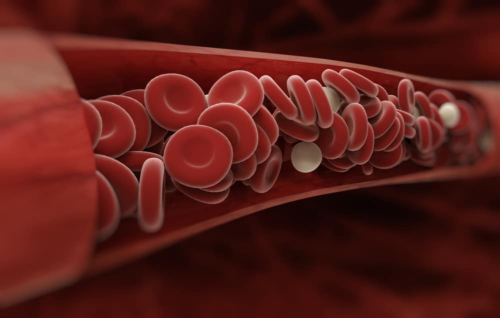 Darah fungsi merah sel Pengertian, Fungsi,