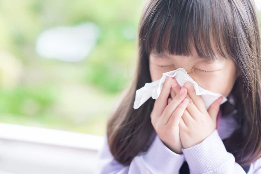 perbedaan influenza dan alergi