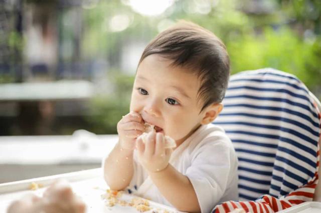 Panduan MPASI Bayi 8 Bulan: Porsi, Tekstur, hingga Resep