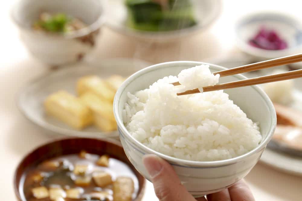 Bolehkah Makan Nasi Sebelum Mulai Olahraga?