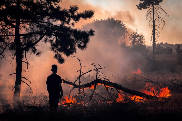 Salah satu bahaya kebakaran lahan hutan bagi kesehatan pernapasan adalah