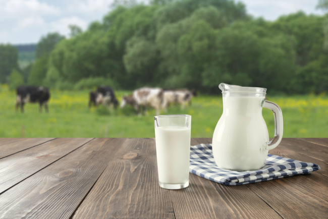 Keunggulan Susu Organik yang Tak Boleh Dilewatkan