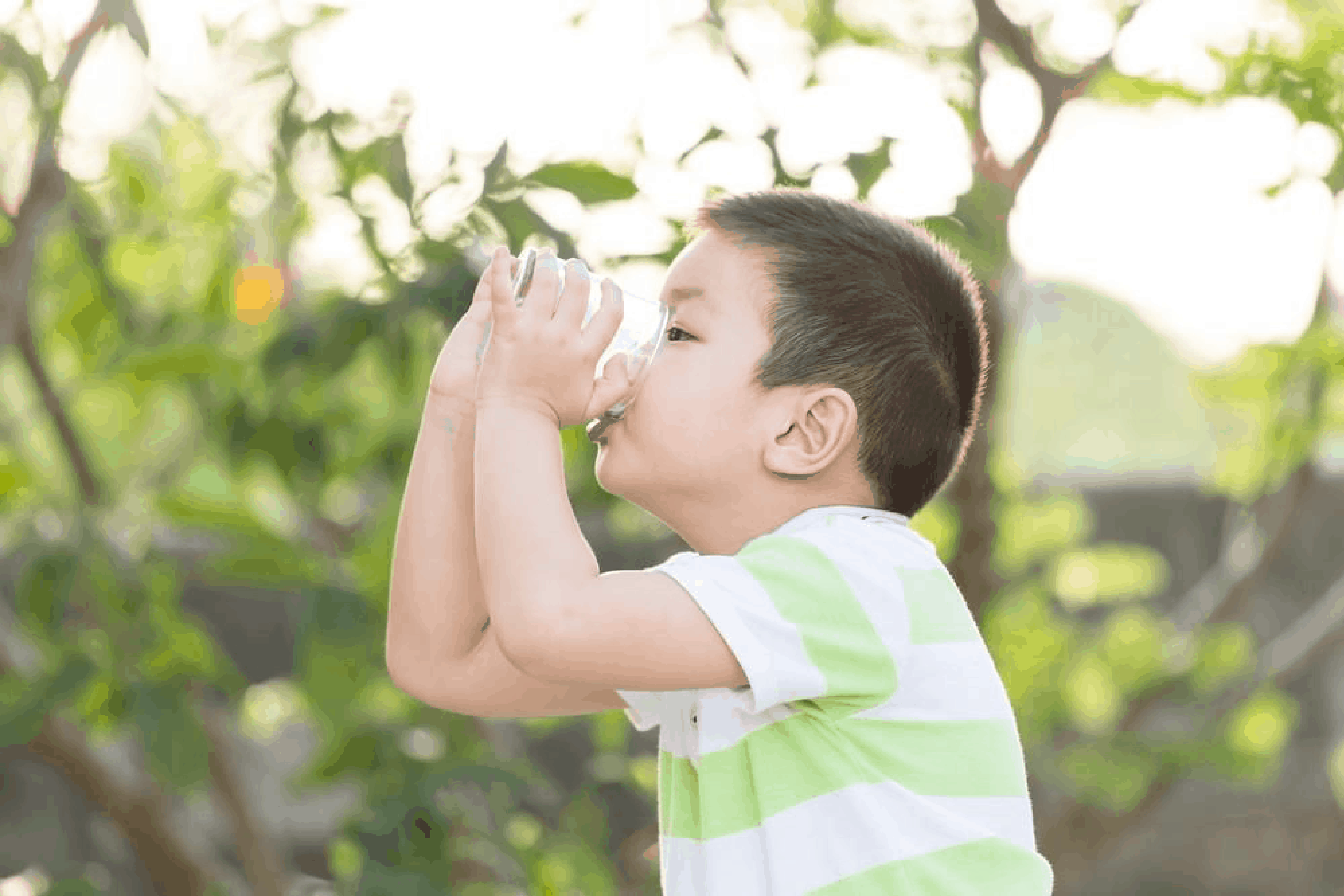 Pentingnya Asam Lemak dari Susu Organik untuk Anak