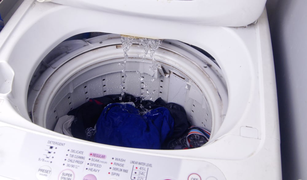 Awas, Mesin Cuci Kotor Bisa Menjadi Rumah Bagi 5 Bakteri Ini