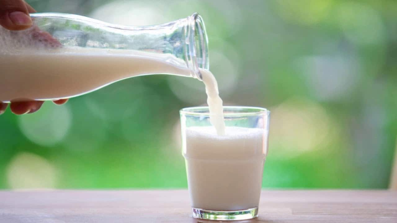 Sudah Osteoporosis, Masih Bisakah Minum Susu untuk Menguatkan Tulang?