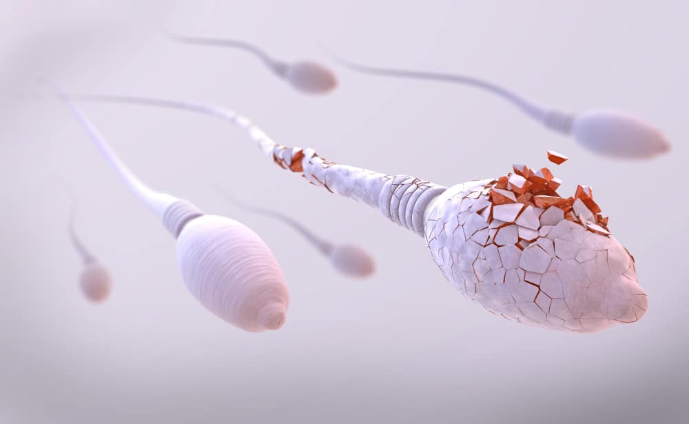 Efek Samping yang Harus Dipertimbangkan Sebelum Menggunakan Spermisida
