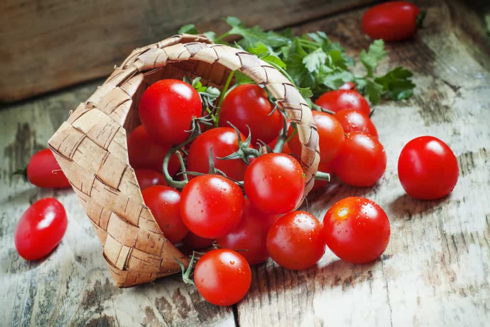 Manfaat Tomat Cherry Dari Bikin Kulit Cantik Hingga Cegah Kanker