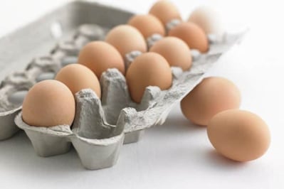 telur disimpan dalam kemasan menambah masa kadaluwarsa telur