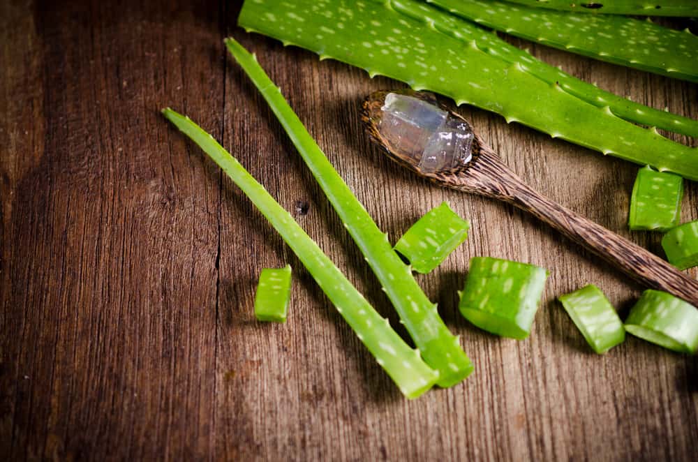 Selain Lidah Buaya, Inilah Daftar Bahan Alami untuk Obat Ketombe