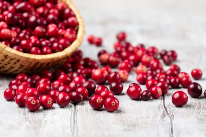 cranberry mencegah infeksi saluran kemih