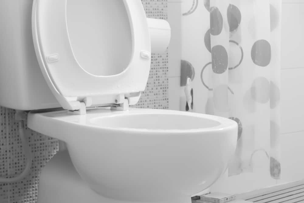 4 Masalah Kesehatan yang Rentan Muncul Saat Menggunakan Toilet Kotor